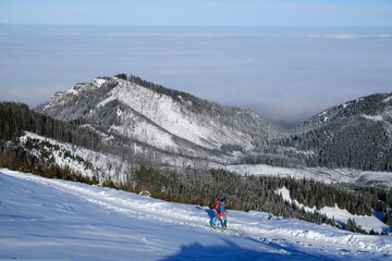 Panorama from trail to Hala Gasienicowa in Tatra Mountains in winter scenery. Babia Gora Peak on...