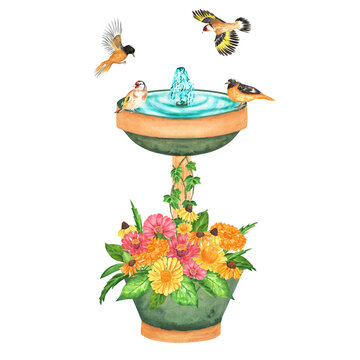 A composition with flying and sitting birds, birdbath and flowers. An illustration for printing design, textile, scrapbooking, stickers, postcards. Isolated. Hand drawn watercolor illustration.