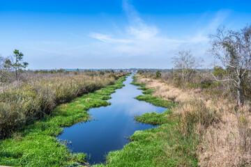 Fototapeta na wymiar A narrow stream of water in Gulf Shores, Alabama