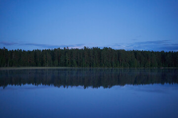 Fototapeta na wymiar Minimalistic mirror landscape with a forest reflection in the water.