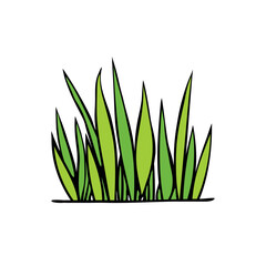 Fototapeta premium A bunch of green grass. Hand drawn color vector illustration, clip art in doodle flat style, isolated. Nature theme