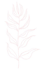 Rose gold elegant floral illustration