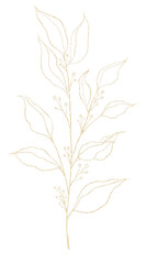 Gold elegant floral illustration