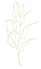 Gold elegant floral illustration