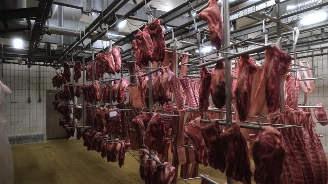 Hooked meat at the meat factory.