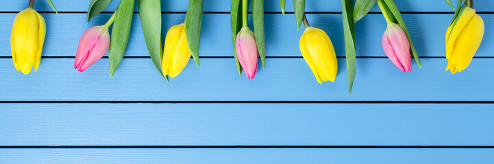 Colorful tulips on blue wooden table