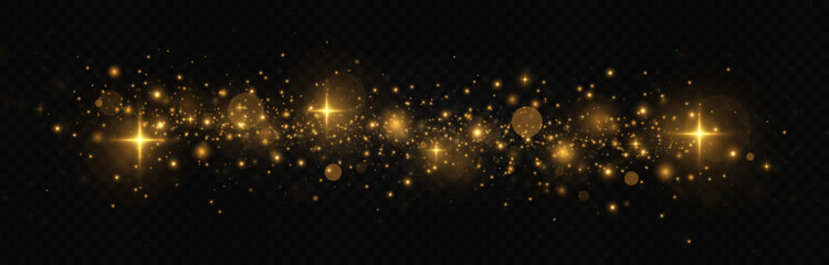 Obraz na płótnie Canvas Sparkling space magical dust particles. The dust sparks and golden stars shine with special light. Glitter bokeh lights isolated on a transparent background. 