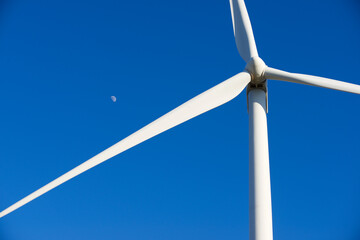 Wind turbine generator for green electricity production