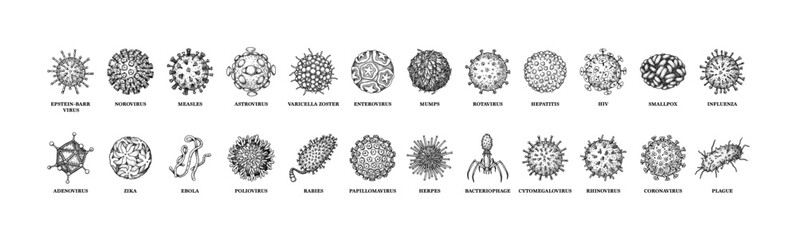 Viruses with names isolated on white background. Different types of microscopic microorganisms. Vector illustration in sketch style - obrazy, fototapety, plakaty