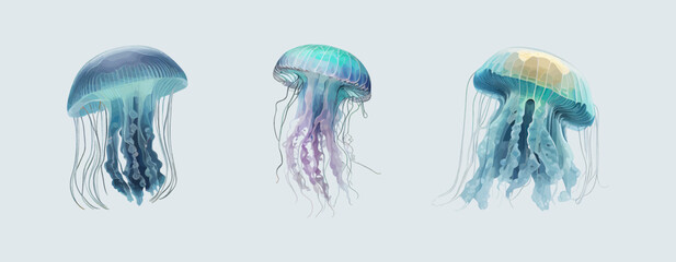 Three jellyfish. Ocean jellyfish. Design set. Deep ocean creature, Vector illustration jellyfish isolatedon blue background. © Nadia