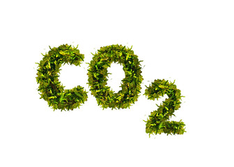 Fototapeta na wymiar CO 2 aus grünen Moos auf transparenten Hintergrund