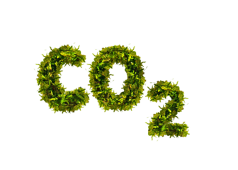 CO 2 aus grünen Moos auf transparenten Hintergrund