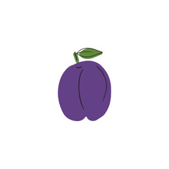 Juicy violet plum fruit with leaf with black line isolated on white background. Childish doodle simple vector illustration of the fruit. Concept of wine menu, print design, drawing children, alphabet