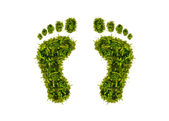 grüner Moos Fußabdruck auf transparenten Hintergrund