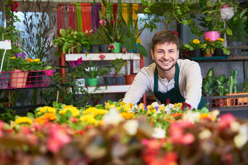 Gardener apprentice with assortment of flowers in nursery