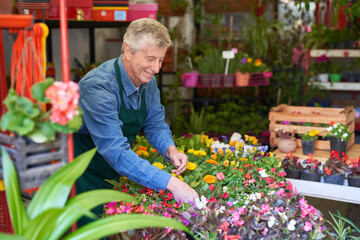 Smiling gardener caring for plants in nursery