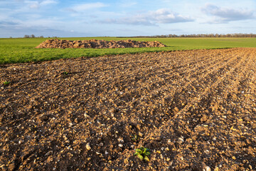 Champ labouré avec nombreux cailloux en surface © S. Leitenberger