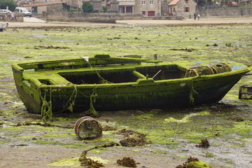 old stranded rowing boat covered with seaweed on the beach