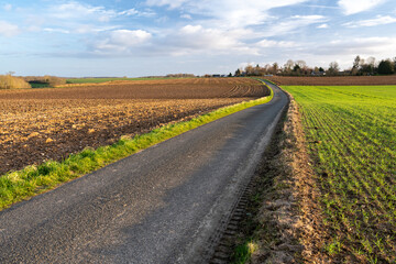 Petite route de campagne à travers prairies et champs