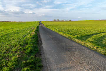 Petite route de campagne à travers prairies et champs