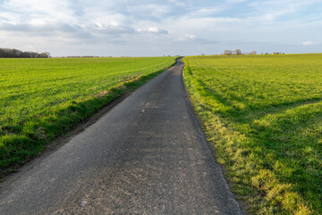 Petite route de campagne à travers prairies et champs