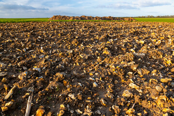 Champ labouré avec nombreux cailloux en surface © S. Leitenberger