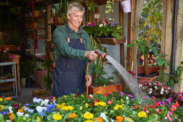 Man as a florist watering the flowers in the flower shop