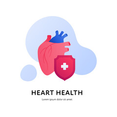 Heart attack prevention healthcare collection. Vector flat illustration. Color pink anatomilcal heart with red shield symbol on splash on white background. Design element for cardiology, health care