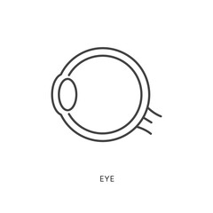 Outline style health care ui icons collection. Vector black linear illustration. Eyeball anatomy side view symbol isolated on white. Design element for healthcare, ophthalmology infographic