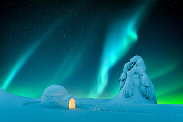 Aurora borealis. Northern lights in winter mountains. Wintry scene with glowing polar lights and...