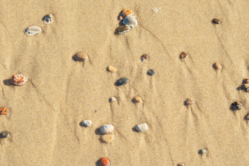 A close-up of the sand on the beach with fine pebbles.