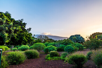 Paisaje en el municipio del Puerto de la Cruz, isla de Tenerife.