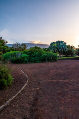 Paisaje en el municipio del Puerto de la Cruz, isla de Tenerife.