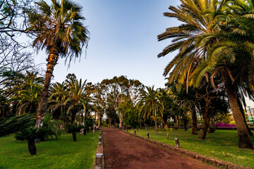 Fototapeta premium Paisaje en el municipio del Puerto de la Cruz, isla de Tenerife.
