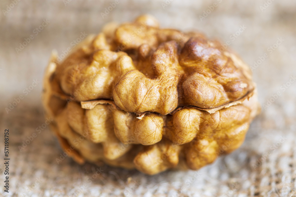 Poster natural walnut kernel close-up. horizontal frame