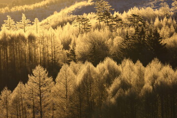 岩手県盛岡市　冬の岩洞湖