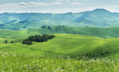 Fototapeta na wymiar View of a summer day in the mountains, green meadows, mountain slopes and hills, countryside
