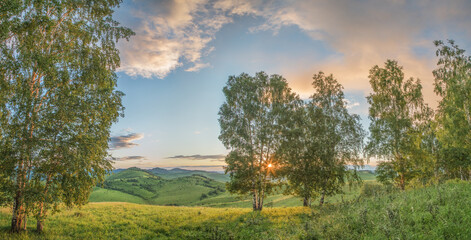 Evening rural landscape, the setting sun shines through the branches, spring nature, meadows and hills