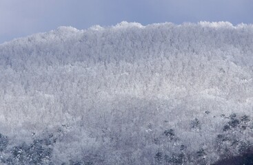 Fototapeta premium 雪山の壁