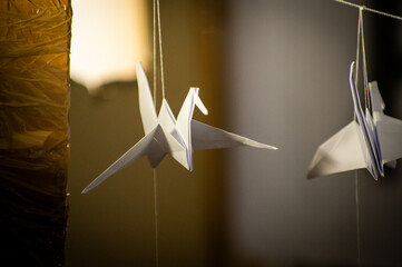 Japanese folded Origami cranes hanging on with strings. Hundreds handmade paper birds isolated with copy space. 1000 thousand crane sculpture topic. Symbol of peace, faith, health, wishes, hope