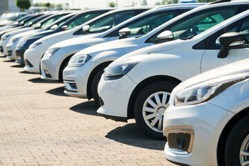 Plakat row of used cars. Rental or automobile sale services