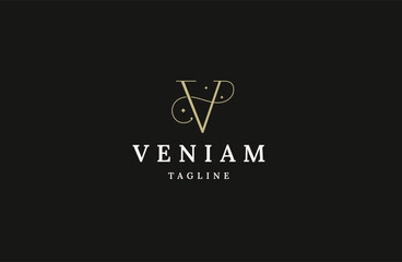 Letter V initial logo design template flat vector