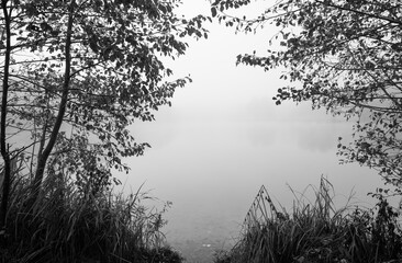 Germeringer See near Germering in Upper Bavaria. Landscape at the lake in the fog. Black and white shot. Foggy morning in nature.
