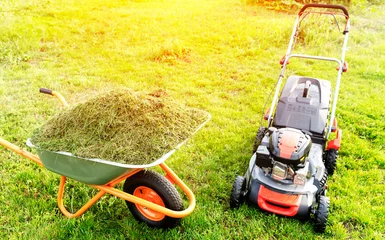 Foto op Canvas self-propelled lawn mower on green grass © I