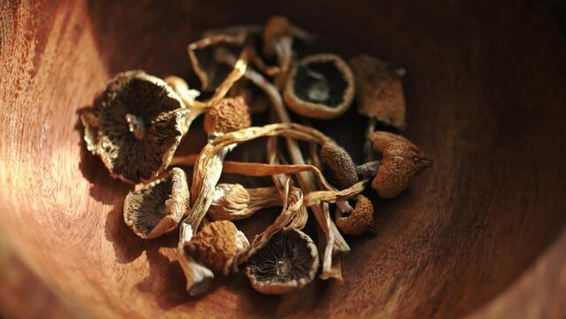 Dried hallucinogenic magic mushrooms in wooden bowl. Psychoactive Psilocybin Mushrooms. Dried shrooms on grunge plate. UHD 4k video