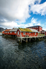 Obraz premium Harbor in Lofoten islands, Norway, Reine village