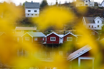 Fall in Lofoten islands, Norway