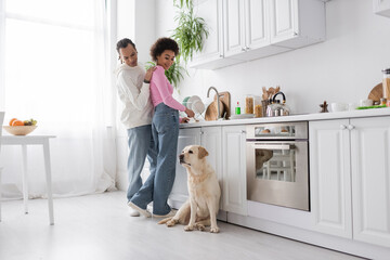 Positive african american couple washing plates and looking at labrador dog in kitchen.
