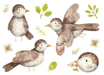 Spring birds. Watercolor set of birds, green leaves and flowers