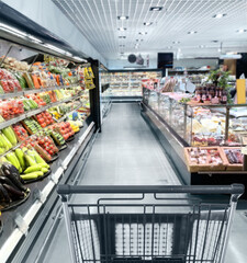 empty grocery cart in an empty supermarket